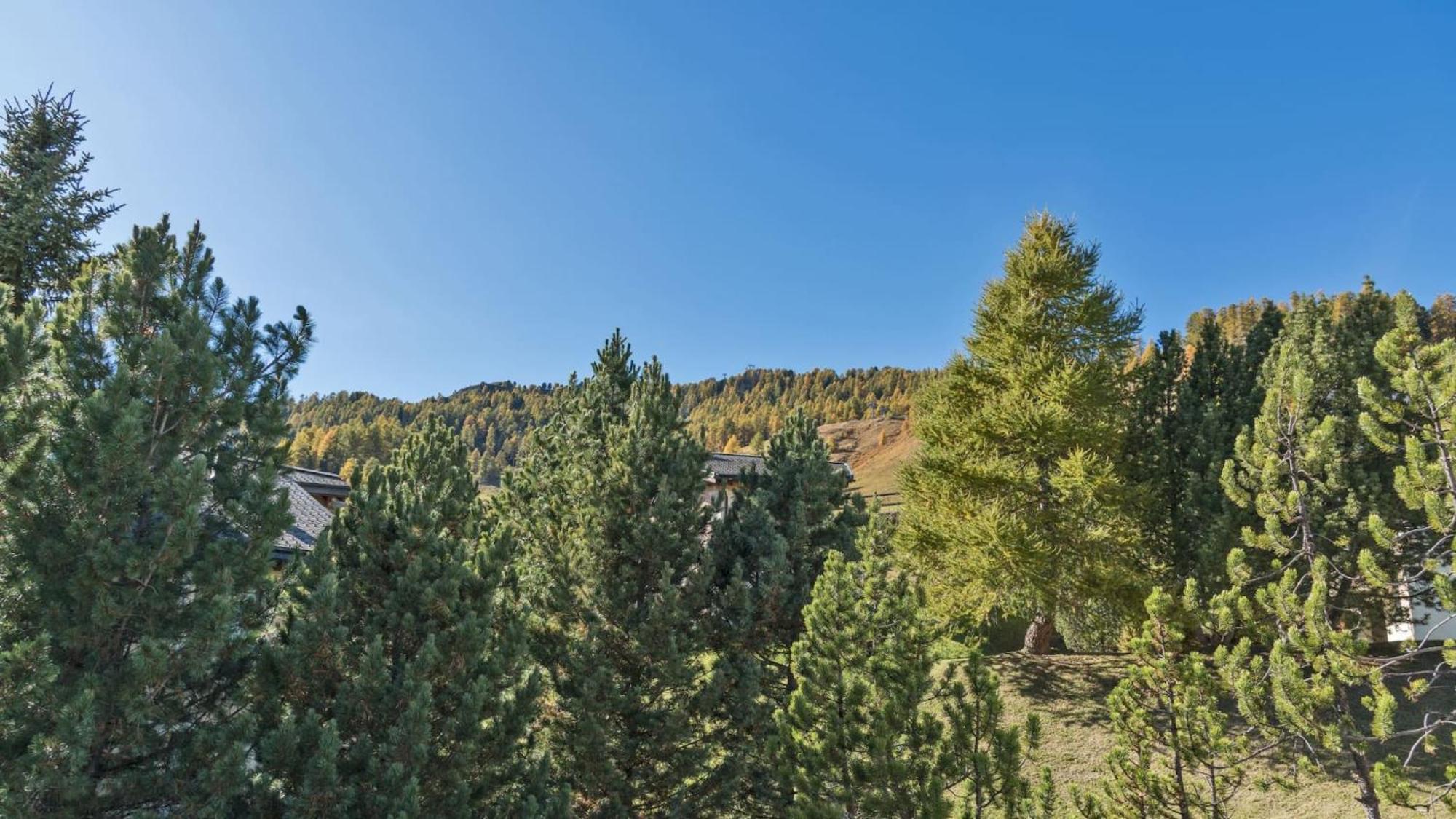 Apartmán Chesa Sarvit - Celerina Celerina/Schlarigna Exteriér fotografie