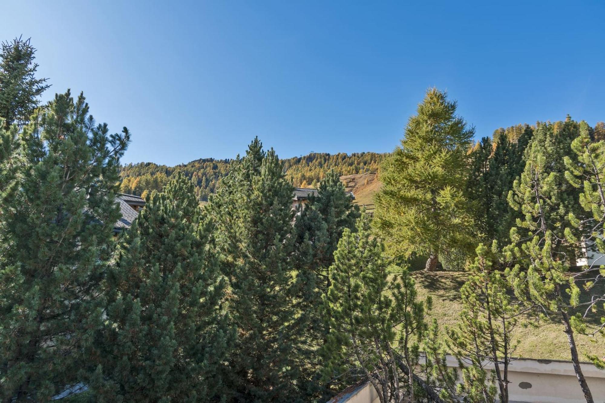 Apartmán Chesa Sarvit - Celerina Celerina/Schlarigna Exteriér fotografie